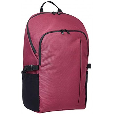 Basics Campus Backpack for Laptops up to 38 cm Maroon