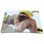 PEDEA Design Hard Case Cover Laptop Bag for Laptops up to 13.3 Vertical Chilling Sloth 13,3 Zoll + Maus und Mauspad